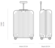 Load image into Gallery viewer, SUITCASE

